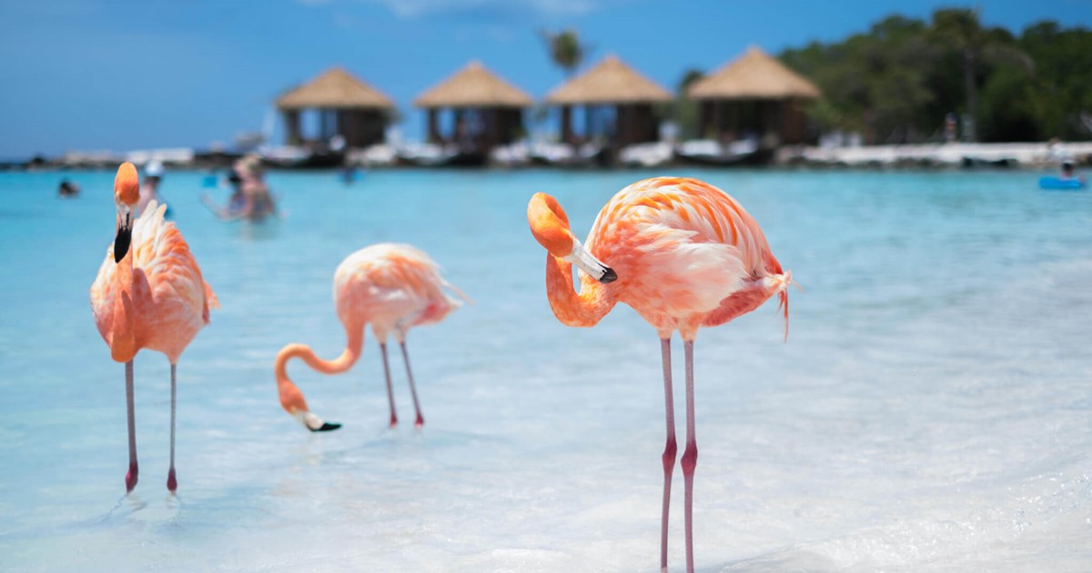 Paquete Turístico Isla Aruba